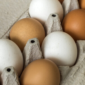 Free Range Eggs